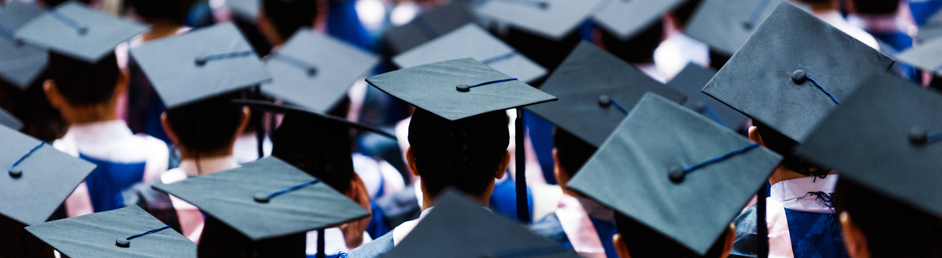 Banner for Education